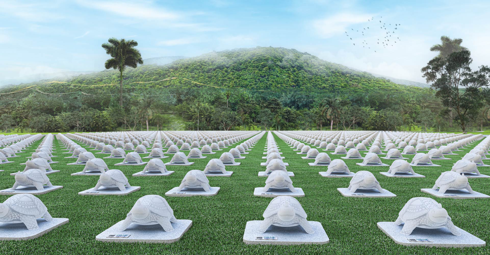 Related Product Image